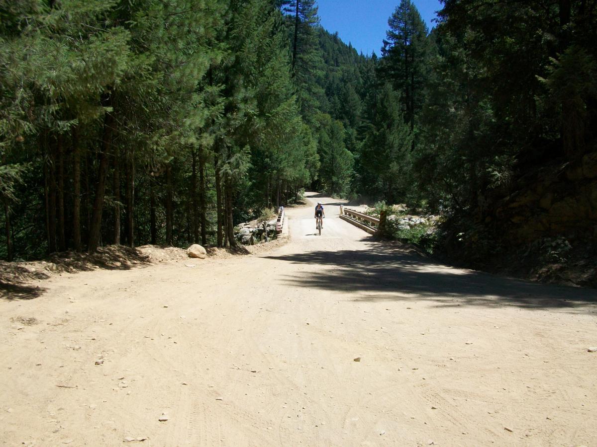 A cyclist riding along a dirt road surrounded by tall green trees, with a wooden bridge visible in the distance under a clear blue sky. 1st / 2nd / 3rd Divide mountain bike trail.