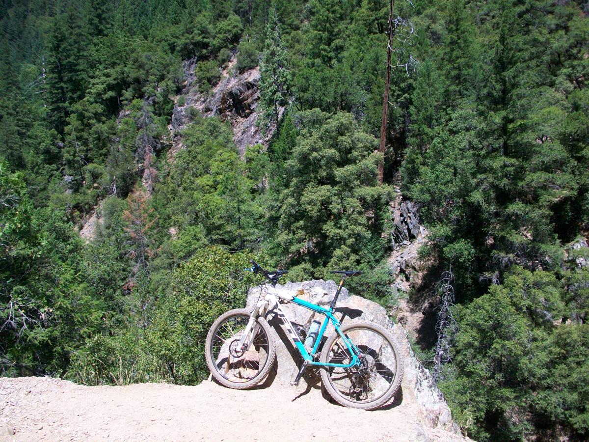 A mountain bike resting on a rocky outcrop with a backdrop of lush green trees in a forested area. The terrain appears rugged, with steep slopes and a variety of vegetation, suggesting an outdoor recreational setting ideal for mountain biking. 1st / 2nd / 3rd Divide mountain bike trail.