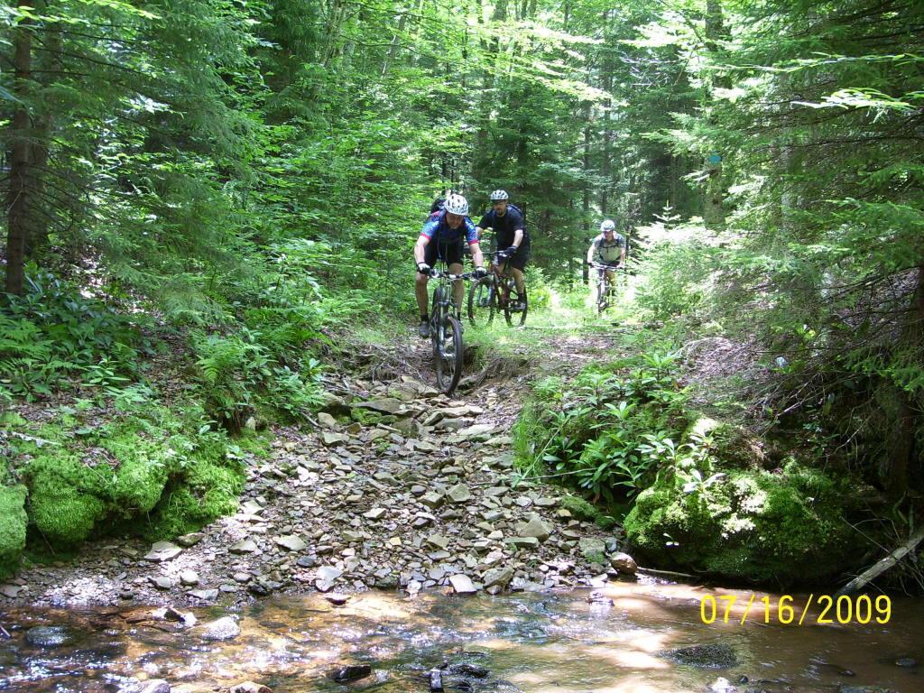 Three mountain bikers riding along a rocky trail in a lush green forest. The path crosses a small stream, surrounded by trees and foliage in bright sunlight. Gauley-bearpen-boundary-shoals-loop mountain bike trail.