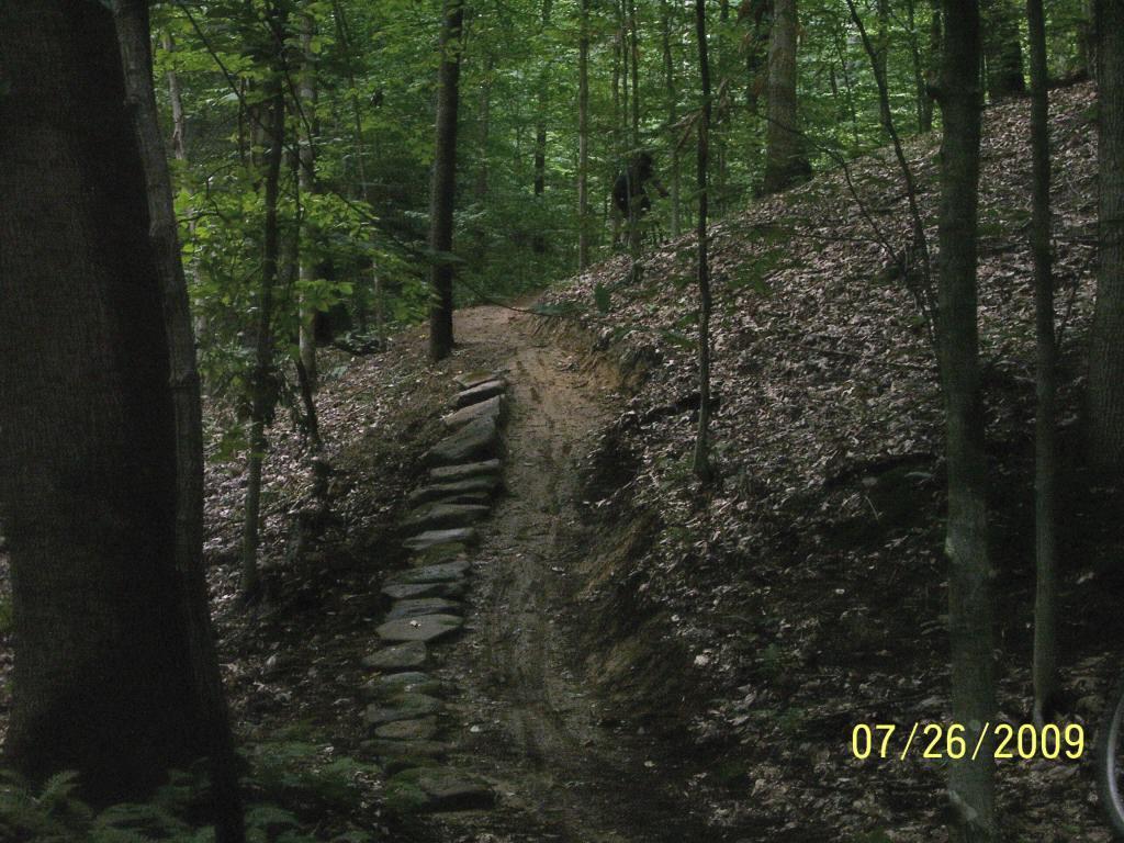A narrow dirt trail winding through a green forest, bordered by trees and scattered leaves. Stone steps are visible on the left side of the path, leading up a slight incline. The scene is shaded, giving a serene and natural atmosphere. Mountwood mountain bike trail.