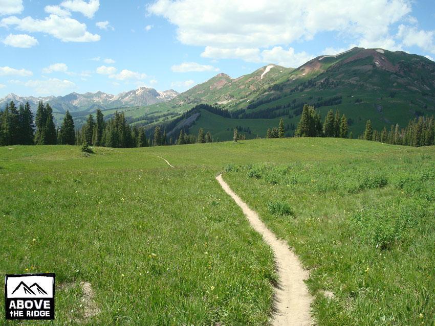 A scenic view of a winding dirt path through a lush green meadow, with rolling hills and majestic mountains in the background under a partially cloudy sky. The landscape is filled with trees and wildflowers, creating a tranquil natural setting. Trail 401 mountain bike trail.