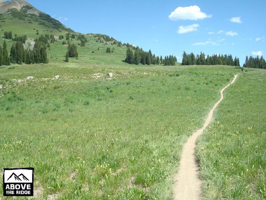 A winding dirt trail runs through a vibrant green meadow, surrounded by rolling hills and patches of trees under a clear blue sky with fluffy white clouds. The landscape is peaceful, ideal for outdoor activities such as hiking. A logo in the bottom left corner reads "Above the Ridge." Trail 401 mountain bike trail.
