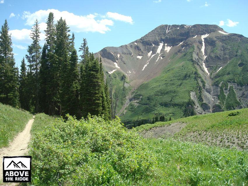 A scenic mountain landscape featuring a dirt trail bordered by lush greenery and evergreen trees. In the background, a prominent mountain peak with patches of snow and rocky slopes rises against a clear blue sky, capturing the beauty of nature. The image also includes a logo with the text "Above the Ridge" in the lower left corner. Trail 401 mountain bike trail.
