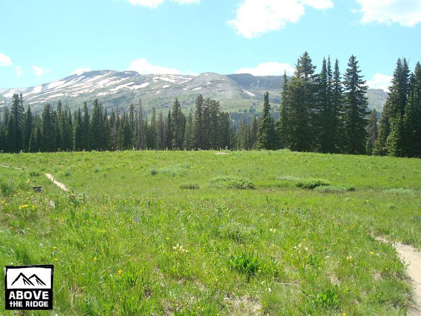 A scenic view of a lush green meadow surrounded by tall evergreen trees, with a backdrop of snow-capped mountains under a clear blue sky. A dirt path runs through the meadow, inviting exploration of the serene landscape. Trail 401 mountain bike trail.