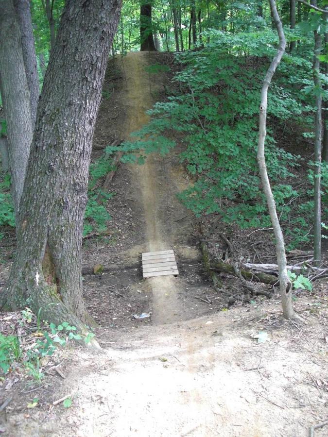 A dirt bike trail in a wooded area, featuring a steep slope leading down to a wooden ramp at the bottom. Surrounding trees and greenery create a natural setting, with visible dirt paths and some scattered leaves on the ground. Scales Lake Park Trails mountain bike trail.