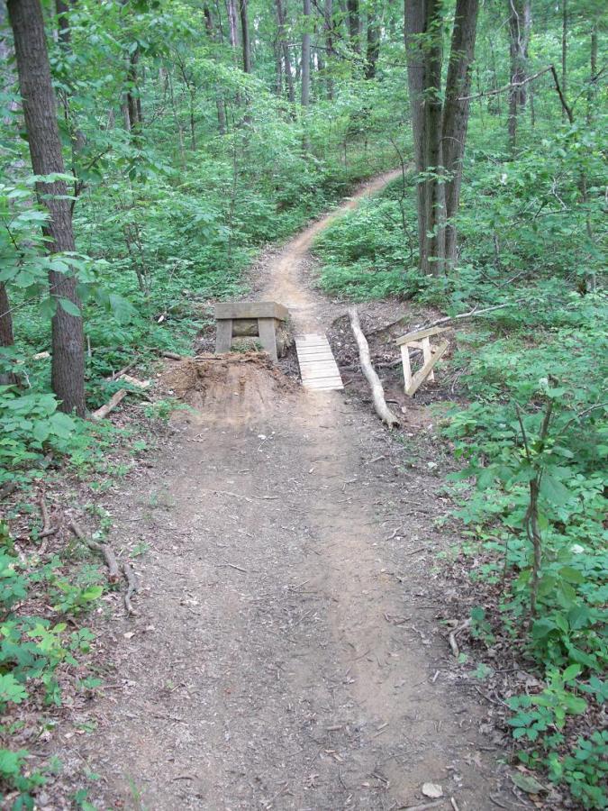 A dirt trail winding through a lush green forest, featuring a simple wooden bridge over a small gap, surrounded by trees and foliage. The path is uneven and natural, with scattered leaves and twigs along the ground. Scales Lake Park Trails mountain bike trail.