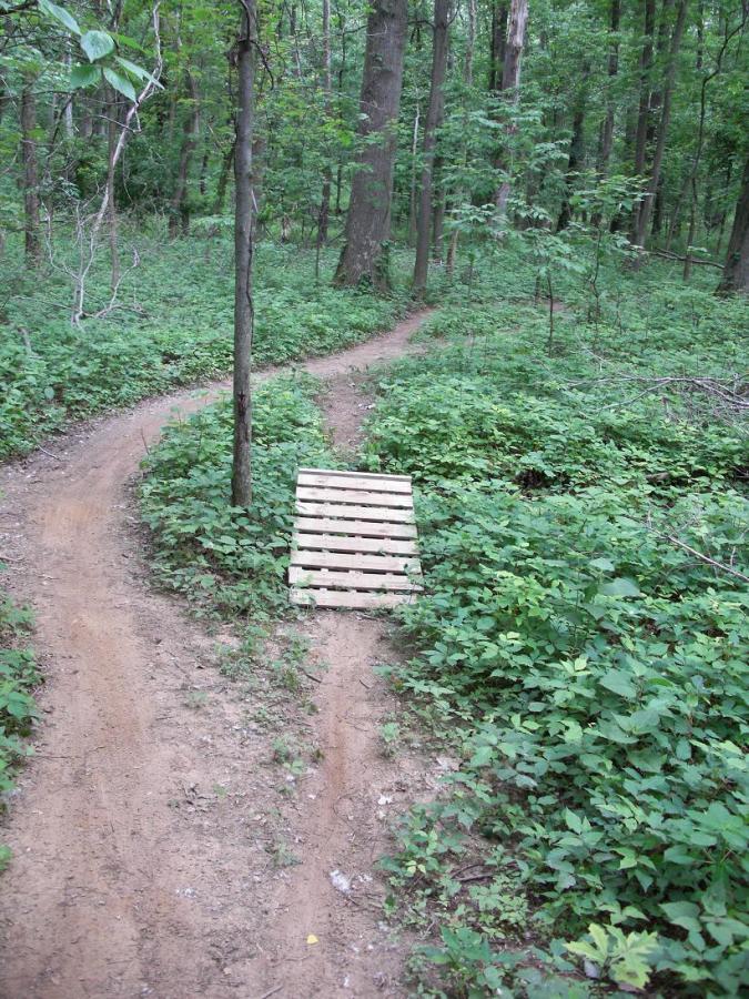 A wooden pallet bridge spans a small path through a dense forest, with two dirt trails diverging in the background. Lush green foliage surrounds the area, creating a natural and serene environment. Scales Lake Park Trails mountain bike trail.