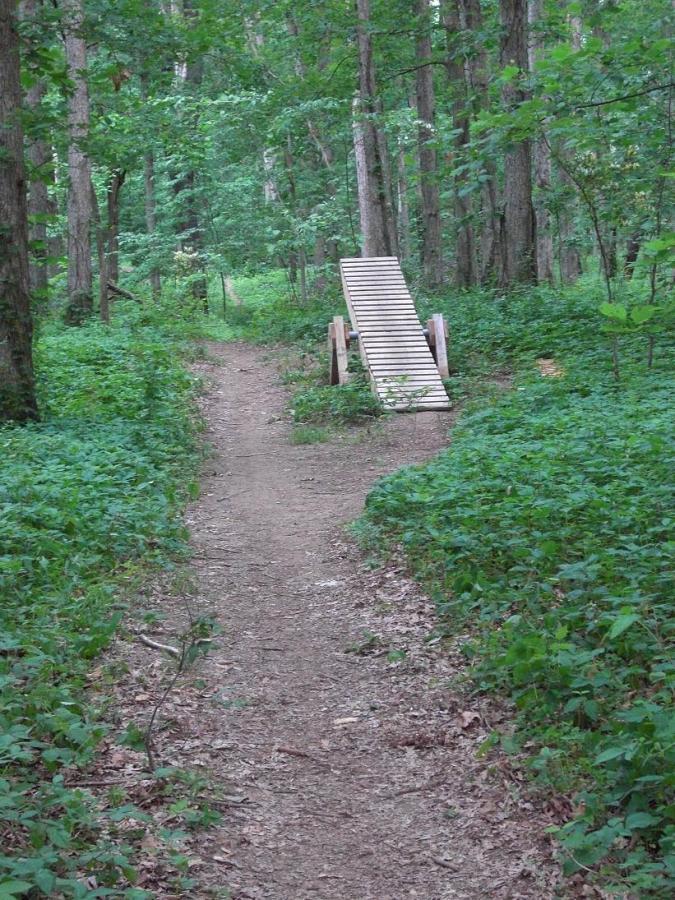 A wooded path in a forest leading towards a small wooden bridge. The path splits, with dense green foliage and trees surrounding the area, creating a serene and natural environment. Scales Lake Park Trails mountain bike trail.