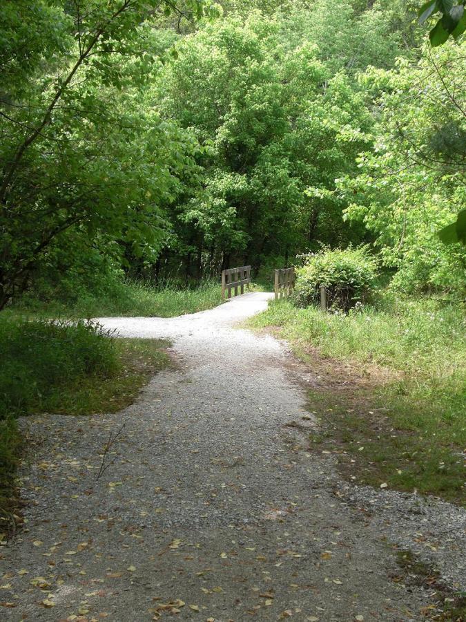 A winding gravel path leads through a lush, green forest, with trees and foliage on either side. In the distance, a small wooden bridge crosses over the path, inviting exploration into the serene outdoor setting. Beech Fork State Park mountain bike trail.
