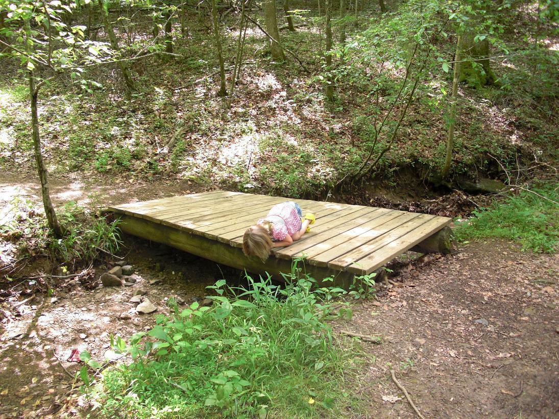 A child lying on a wooden platform over a small creek, surrounded by green foliage and trees, in a wooded area. The scene is peaceful and natural, showcasing the child's connection with nature. Beech Fork State Park mountain bike trail.