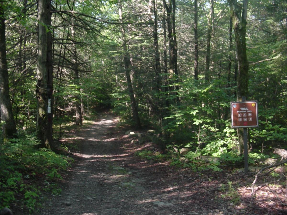 A dirt trail winding through a lush, green forest with tall trees and sunlight filtering through the leaves. A signpost is visible on the right, indicating trail information and regulations. Wawayanda State Park mountain bike trail.