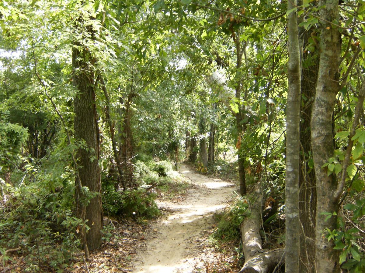 A serene walking path winding through a lush, green forest, bordered by tall trees and dense foliage. Sunlight filters through the leaves, creating a peaceful, natural atmosphere. Bonnet Carre Spillway Trail mountain bike trail.