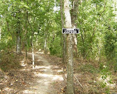 A forest path surrounded by lush greenery, with a sign labeled "ZEPHTR" affixed to a tree. Bonnet Carre Spillway Trail mountain bike trail.