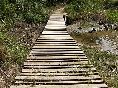 Wooden pathway leading through a natural area, crossing over a shallow stream, surrounded by greenery and vegetation. Bonnet Carre Spillway Trail mountain bike trail.
