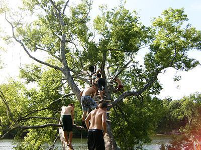 A group of people climbing a tree near a body of water on a sunny day, with lush green leaves surrounding them. Bonnet Carre Spillway Trail mountain bike trail.
