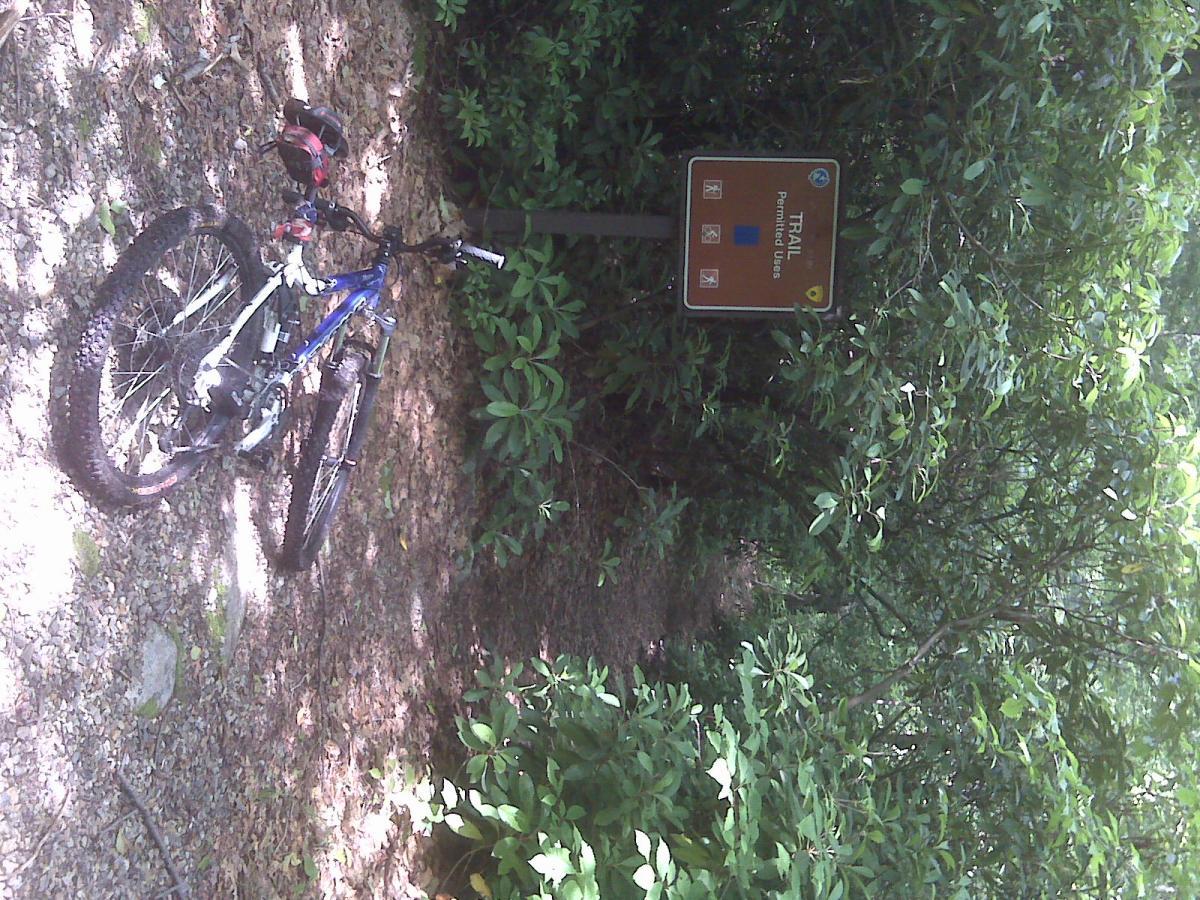 A mountain bike is resting on a dirt path surrounded by greenery, with a brown trail sign in the background indicating a permitted use trail. The scene is lit by sunlight filtering through the trees, highlighting the natural environment. Wawayanda State Park mountain bike trail.