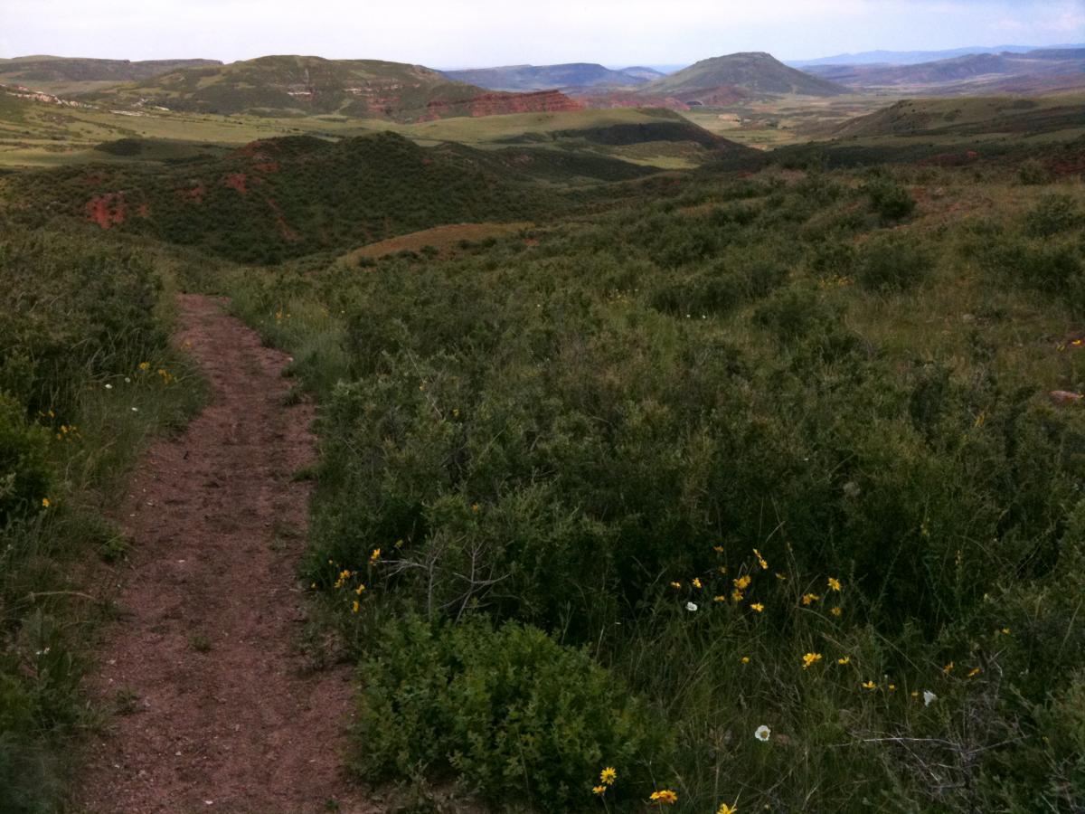 A winding dirt path through lush green grass and wildflowers, leading into a scenic valley surrounded by rolling hills and distant mountains under a cloudy sky. Red Mountain Open Space mountain bike trail.