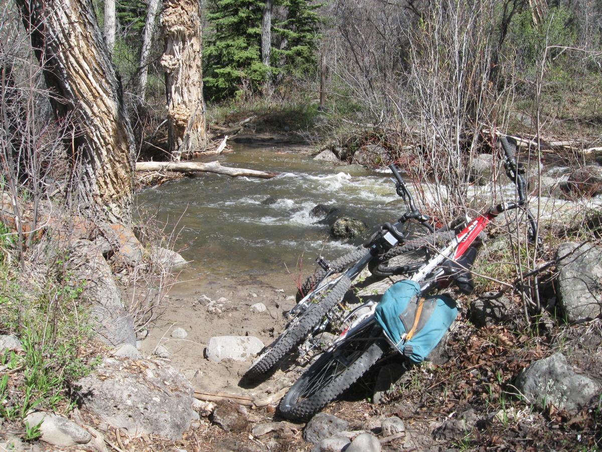 A mountain bike leaned against a rock near a flowing creek, surrounded by trees and vegetation. The scene captures the serenity of nature, with the water rippling over stones and the greenery indicating a lush environment. Kannah Creek mountain bike trail.