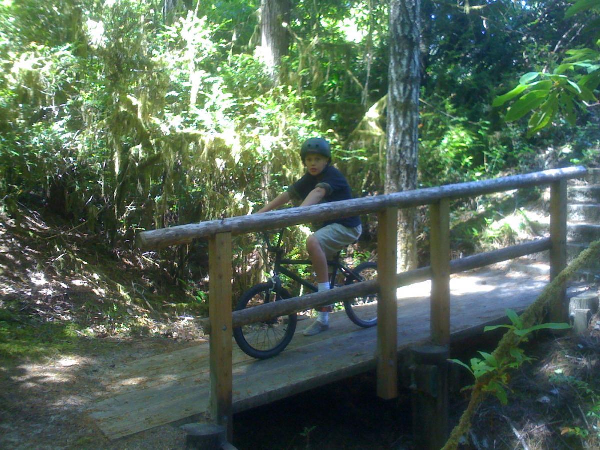 A young boy wearing a helmet rides a bicycle across a wooden bridge in a lush, green forest. Trees and foliage surround him, creating a natural setting. Bright sunlight filters through the leaves, illuminating the scene. Sutton Creek Trails mountain bike trail.