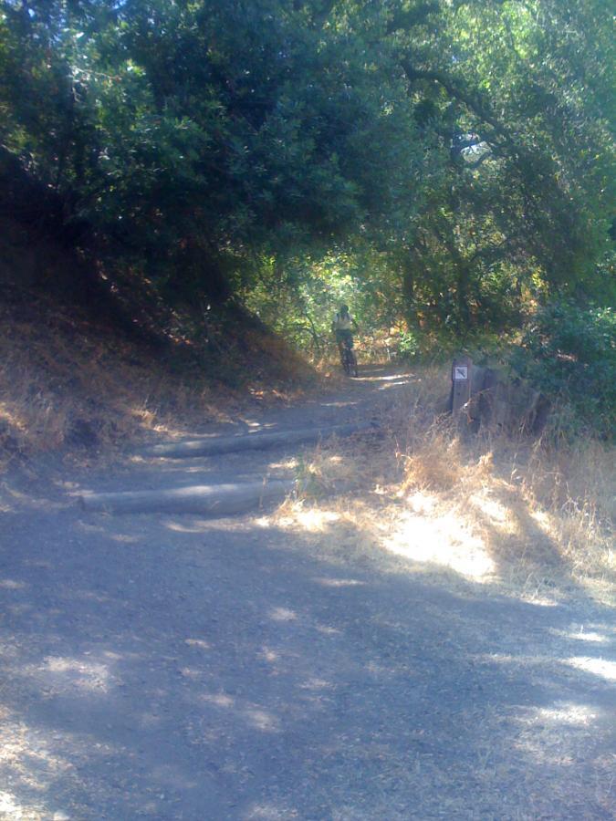 A narrow dirt path winding through a wooded area with overhanging trees and dry grass on either side. A person can be seen in the distance walking along the trail. A sign is posted near the path. Water Dog Lake Park mountain bike trail.