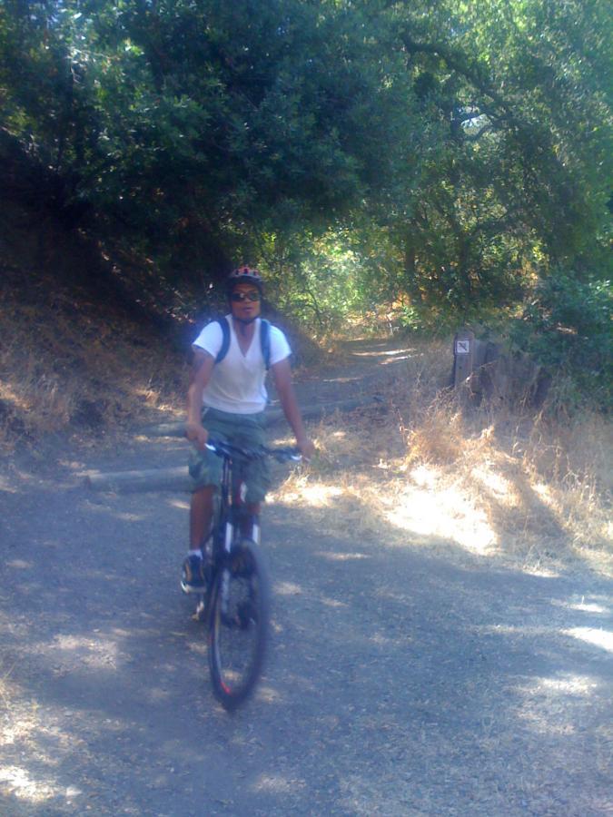 A person riding a mountain bike along a dirt trail surrounded by greenery. The trail is lined with trees, and the sun filters through the leaves, creating a dappled light effect. The cyclist is wearing a white t-shirt, shorts, and a helmet. Alum Rock County Park mountain bike trail.