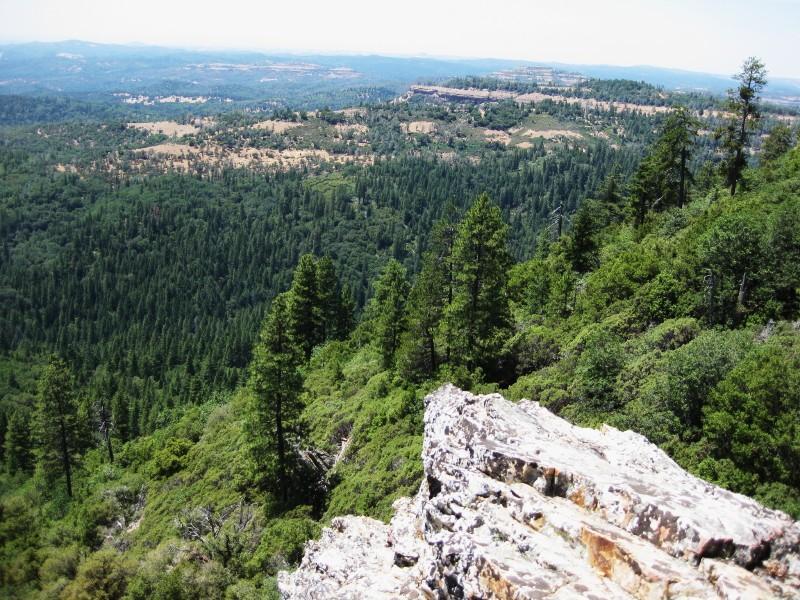 A panoramic view of a lush forested landscape from a rocky overlook, featuring dense conifer trees, rolling hills, and distant mountains under a clear blue sky. The foreground shows jagged rock formations contrasting with the greenery below. Top Of The World mountain bike trail.