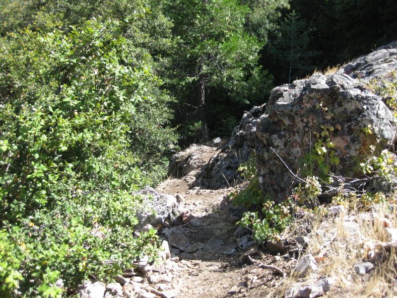A narrow dirt path winding through a forested area, surrounded by greenery and rocky terrain. Sunlight filters through the trees, illuminating parts of the trail and rocky outcroppings on either side. Top Of The World mountain bike trail.