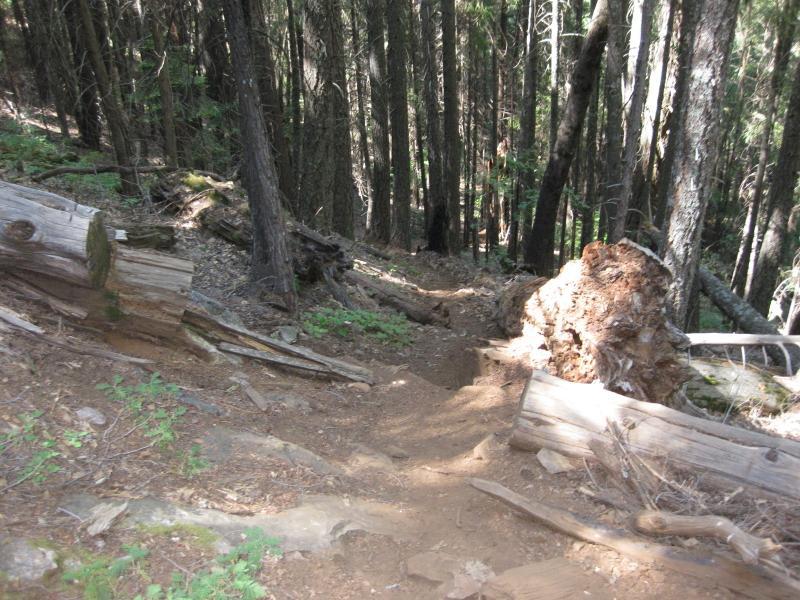 A winding dirt path through a dense forest, lined with fallen logs and surrounded by tall trees. Sunlight filters through the canopy, illuminating the earthy tones of the trail and the greenery of the underbrush. Top Of The World mountain bike trail.