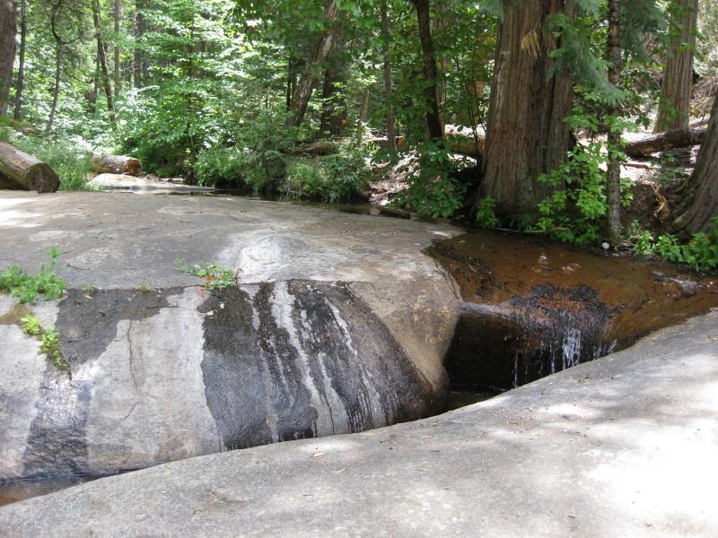 A tranquil forest scene featuring a smooth, wet rock surface with gentle water flowing over it. Surrounding the rock are lush green trees and foliage, creating a peaceful natural environment. Top Of The World mountain bike trail.