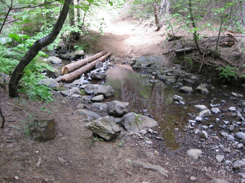 A peaceful forest scene featuring a small creek surrounded by rocks and logs. Sunlight filters through the trees, illuminating a dirt path that leads into the woods. Lush greenery and ferns line the bank of the creek, creating a tranquil natural setting. Top Of The World mountain bike trail.