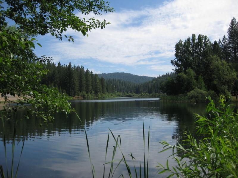 A serene lake surrounded by lush greenery and tall trees, with a clear blue sky overhead and gentle ripples on the water's surface. Top Of The World mountain bike trail.