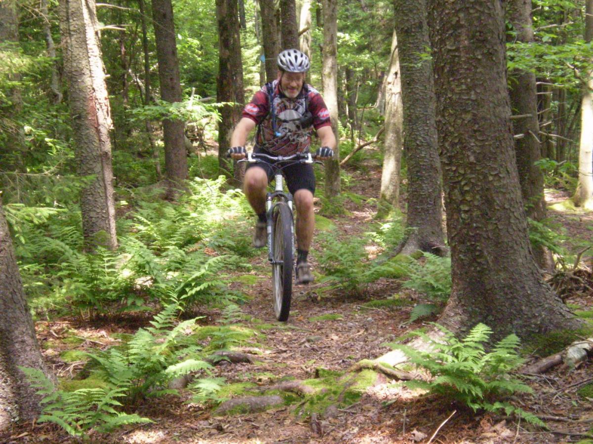 A man riding a mountain bike along a wooded trail, surrounded by tall trees and lush ferns. Sunlight filters through the foliage, casting dappled light on the path as he navigates the terrain. Gauley-bearpen-boundary-shoals-loop mountain bike trail.