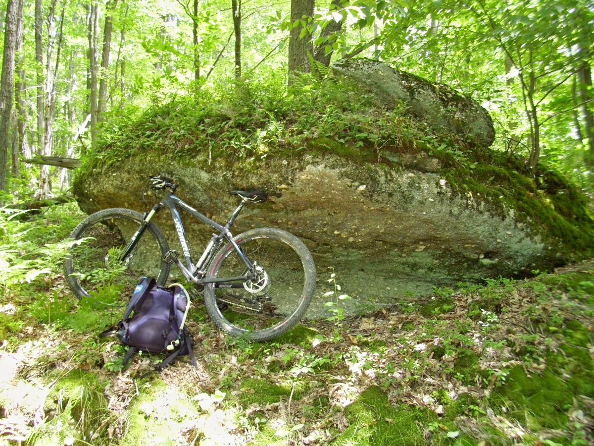 A mountain bike leaning against a large rock in a lush, green forest. A purple backpack sits beside the bike on the forest floor, surrounded by ferns and moss. Sunlight filters through the trees, creating a peaceful outdoor scene. Rocky Gap (easy Loop) mountain bike trail.