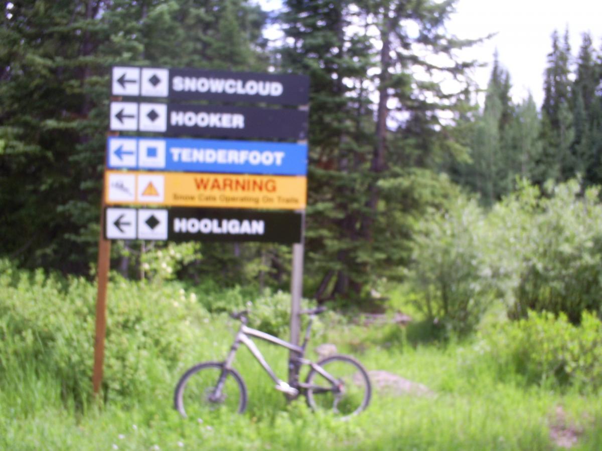 A blurry image of a trail sign in a wooded area, indicating various mountain bike trails including "Snowcloud," "Hooker," "Tenderfoot," and "Hooligan." The sign also features a warning about snowcats operating on the trails. A mountain bike is leaning against the sign, surrounded by lush green vegetation. West Bench Trail mountain bike trail.