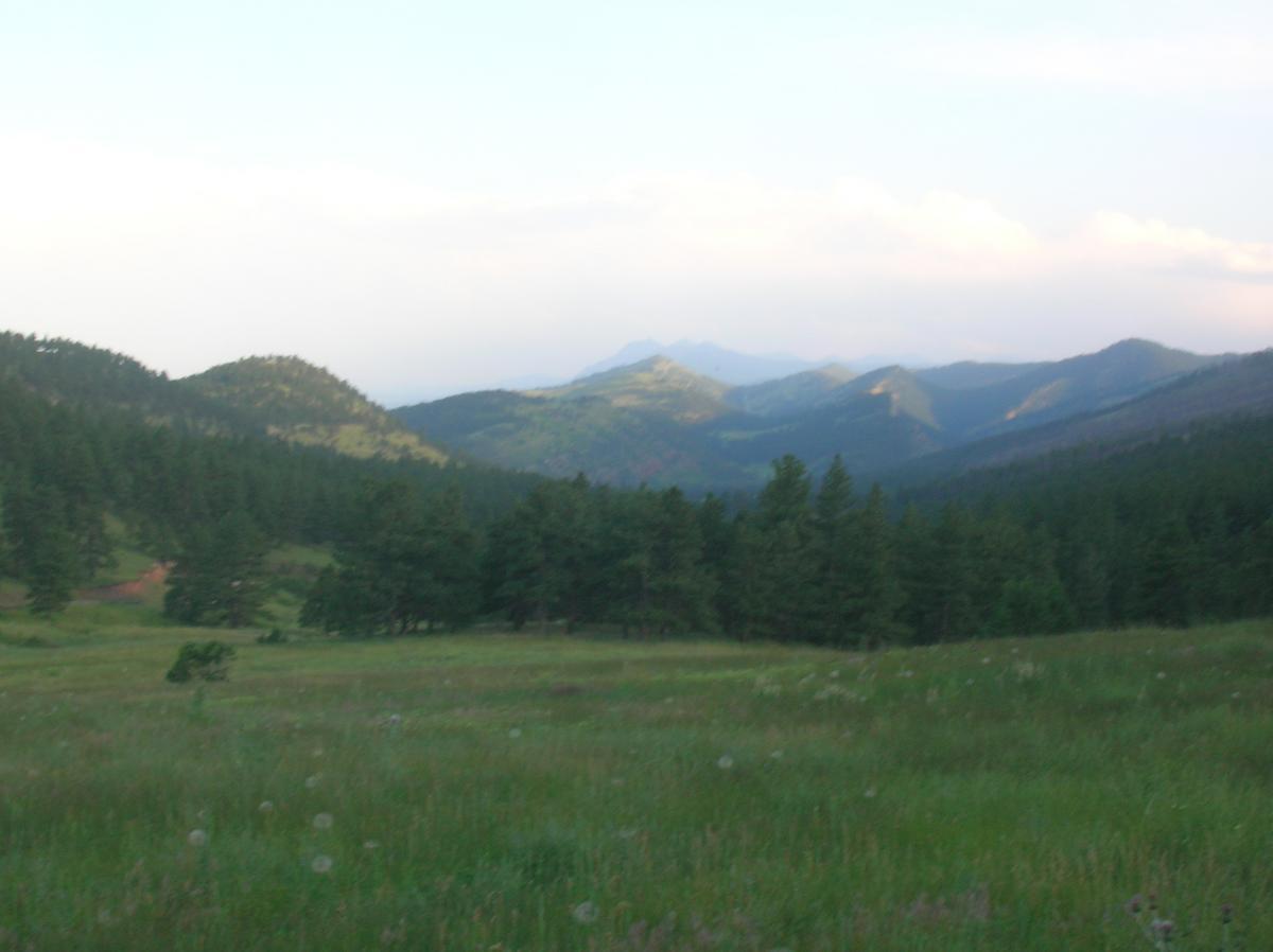 A panoramic view of a mountainous landscape featuring rolling hills covered with lush green trees and grass, under a clear blue sky with soft clouds in the background. The scene captures the serene beauty of nature, showcasing distant mountains in varying shades of green and blue. Heil Valley Ranch mountain bike trail.