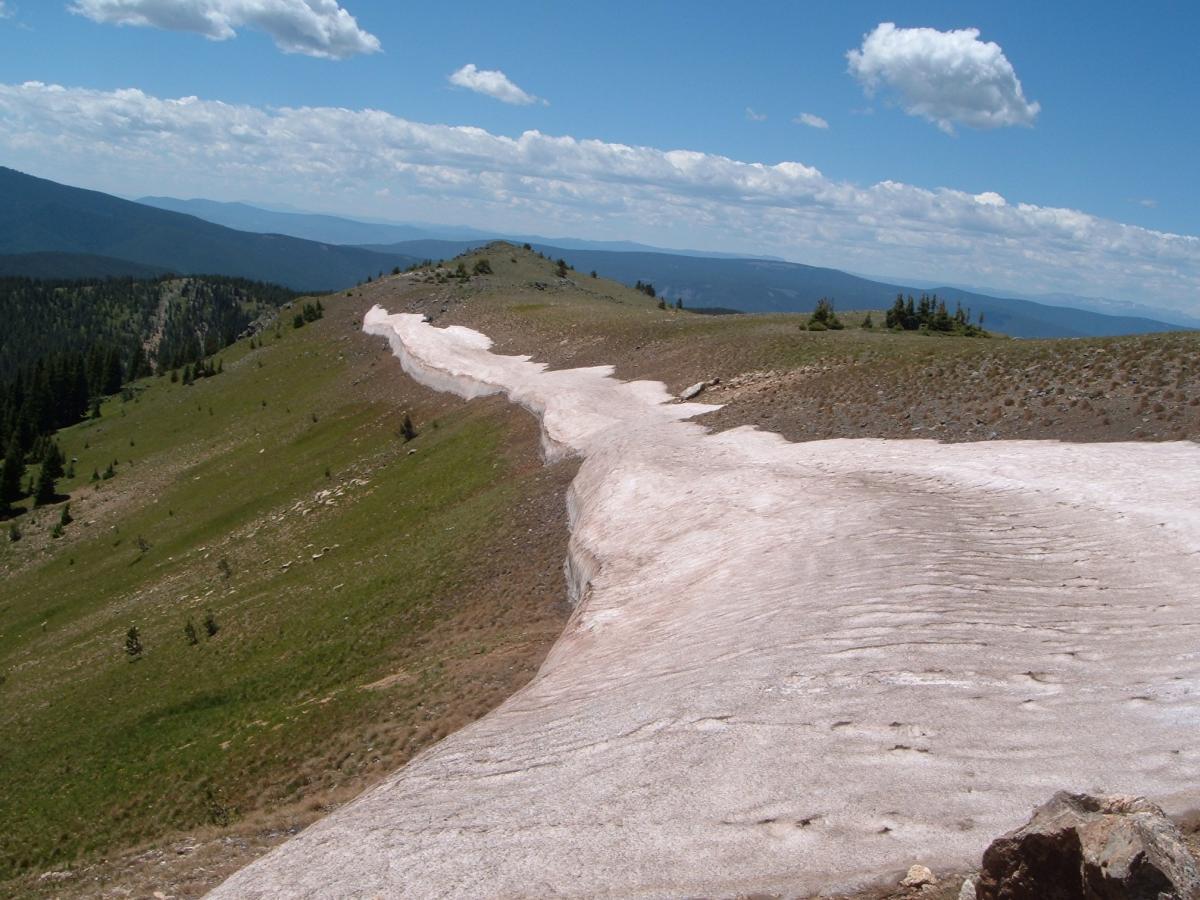 A panoramic view of a mountain landscape featuring rolling hills and a patch of snow. The scene includes green grass and sparse trees under a clear blue sky dotted with white clouds. The snow stretches down along the slope, contrasting with the surrounding greenery, while distant mountain ranges form the backdrop. Monarch Crest Trail mountain bike trail.