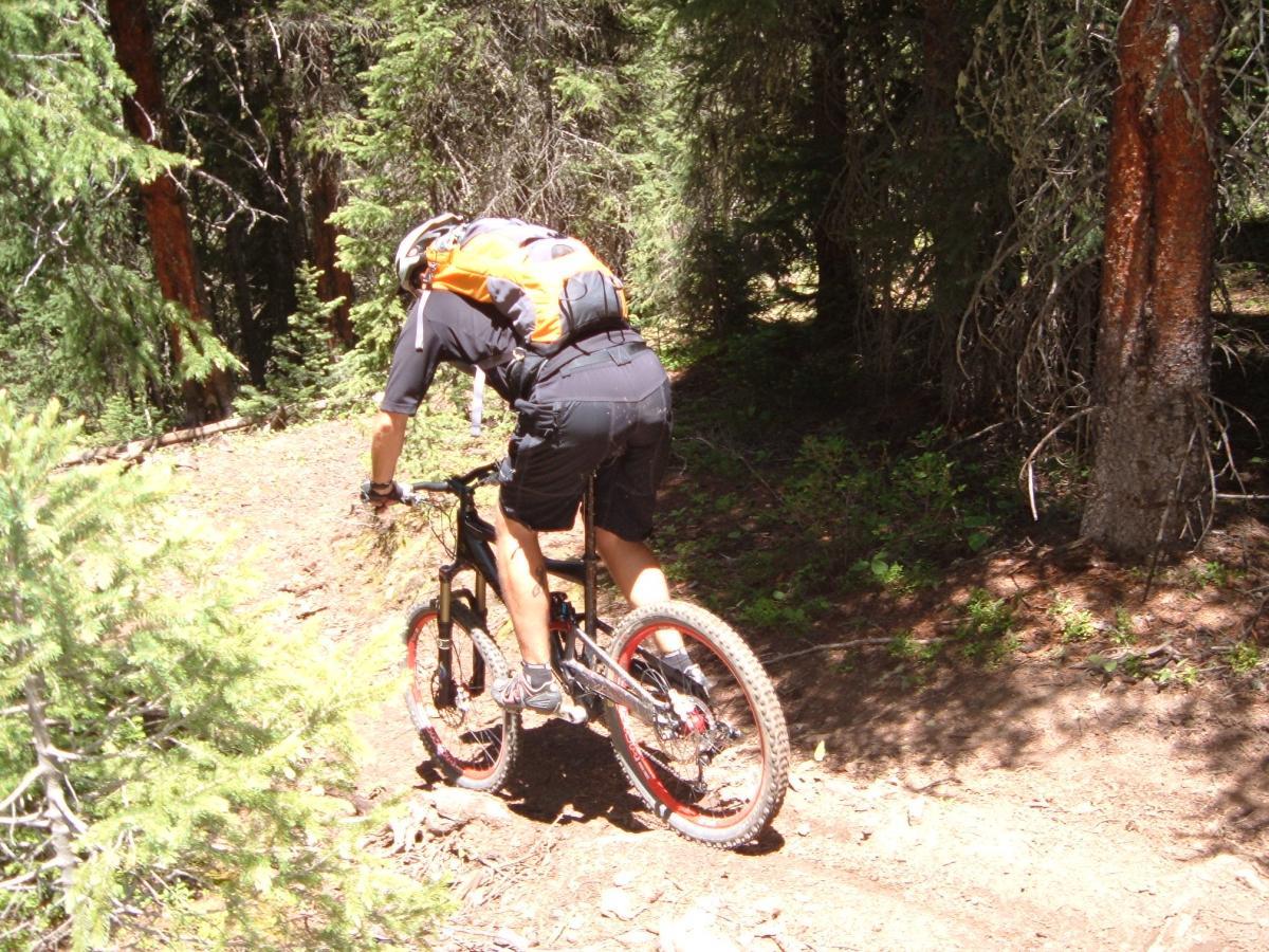 A mountain biker navigating a narrow dirt trail through a dense forest, wearing a helmet and an orange backpack. The rider is leaning forward, focused on the path ahead, with trees and underbrush surrounding the trail. Monarch Crest Trail mountain bike trail.
