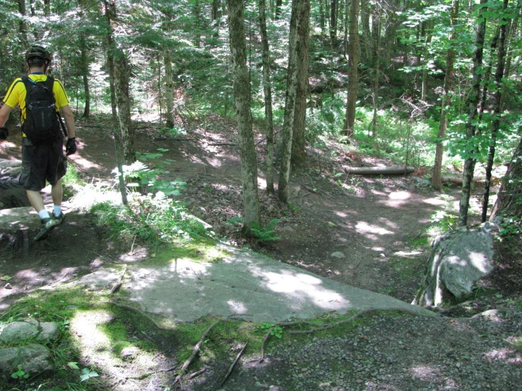 A person wearing a yellow shirt and backpack descends a trail in a dense forest. Sunlight filters through the trees, casting dappled shadows on the ground covered in leaves and rocks. The trail splits, leading into two different directions through the lush greenery. Buckwallow mountain bike trail.