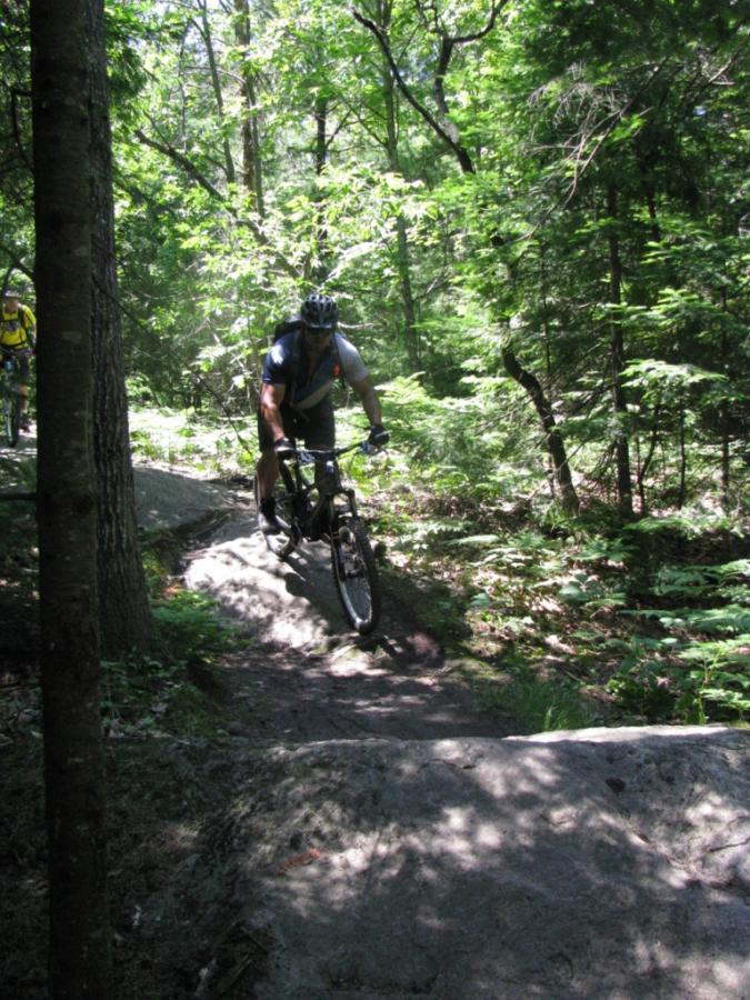 A mountain biker navigates a rocky trail in a lush green forest, surrounded by trees and foliage on a sunny day. Buckwallow mountain bike trail.
