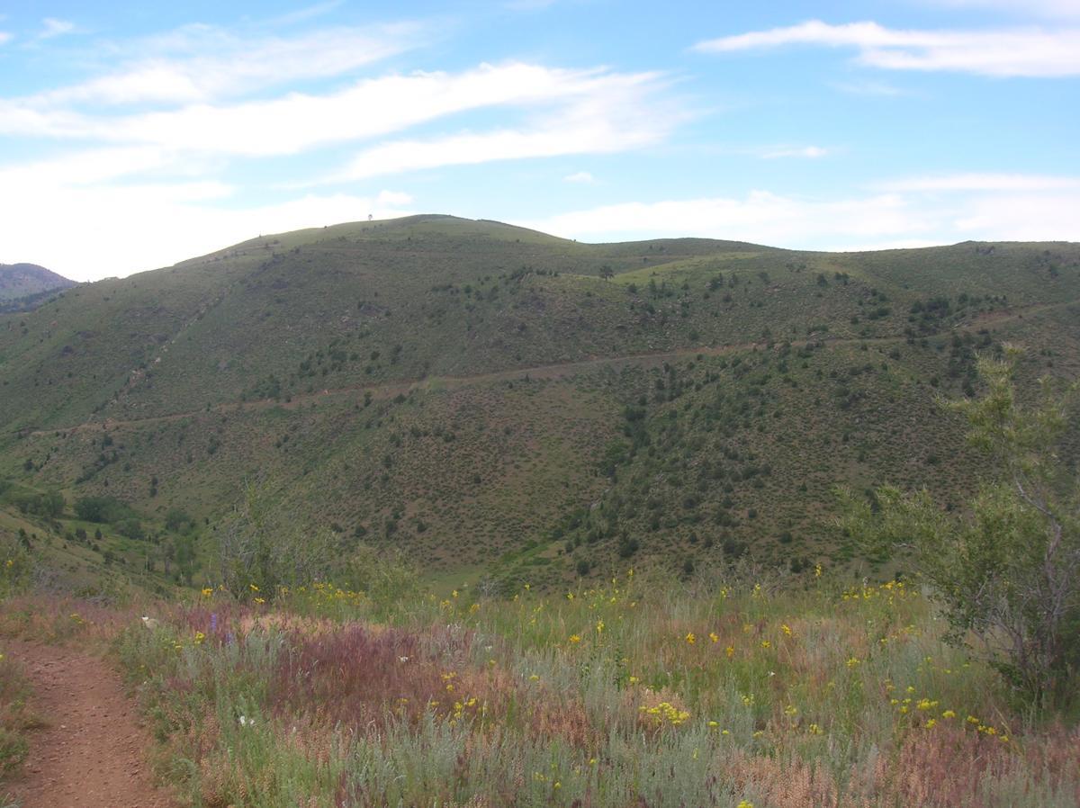 A scenic view of rolling green hills under a partly cloudy blue sky, with patches of wildflowers in the foreground and a subtle dirt path winding through the landscape. Centennial Cone Park mountain bike trail.
