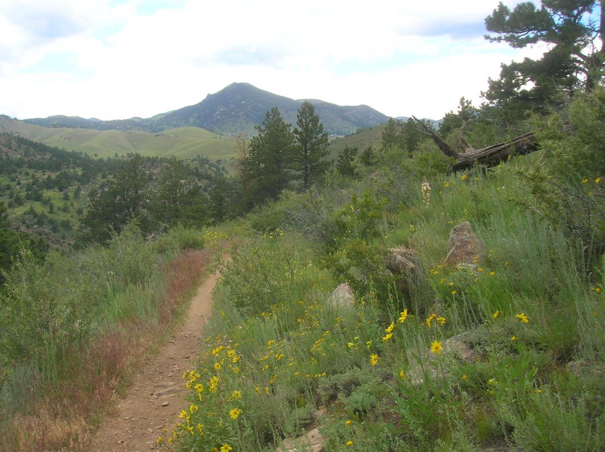 A dirt hiking path bordered by wildflowers and lush greenery, leading towards rolling hills and rocky mountains under a partly cloudy sky. Centennial Cone Park mountain bike trail.