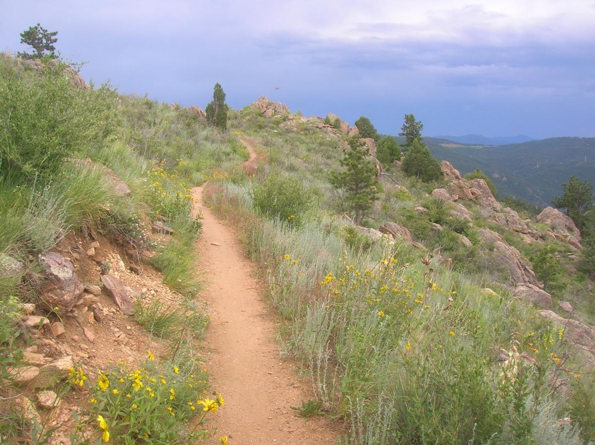 A winding dirt path through green hills and rocky terrain, bordered by wildflowers, under a cloudy sky. Centennial Cone Park mountain bike trail.