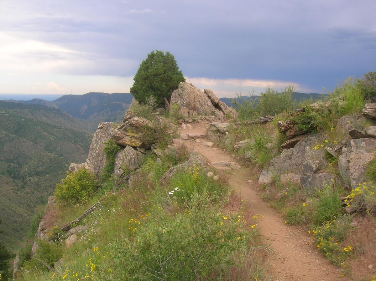 A winding dirt path leads along a rocky outcrop overlooking a mountainous landscape. Lush greenery and wildflowers border the trail, while a few scattered rocks and a small tree stand prominently on the edge. The sky is cloudy, adding a dramatic backdrop to the scenic view. Centennial Cone Park mountain bike trail.