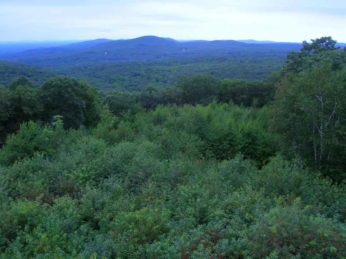 Somers Mountain / Shenipsit SF Mountain Bike Trail in Somers