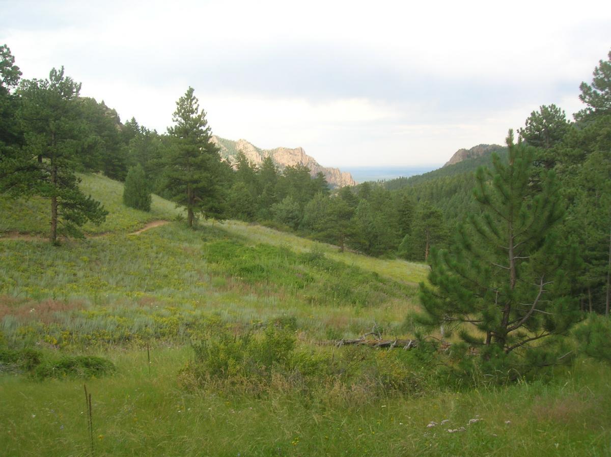 A scenic view of a lush green landscape with rolling hills, dotted with trees and wildflowers. In the background, rugged rock formations are partially obscured by a mix of clouds and blue sky, creating a serene, natural setting. A winding path leads through the grassy hillside, inviting exploration. Walker Ranch mountain bike trail.