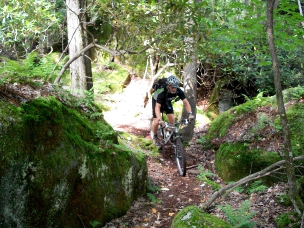 A mountain biker navigating a narrow, rocky trail through a dense green forest, surrounded by moss-covered rocks and trees. Big Bear Lake Trail Center mountain bike trail.