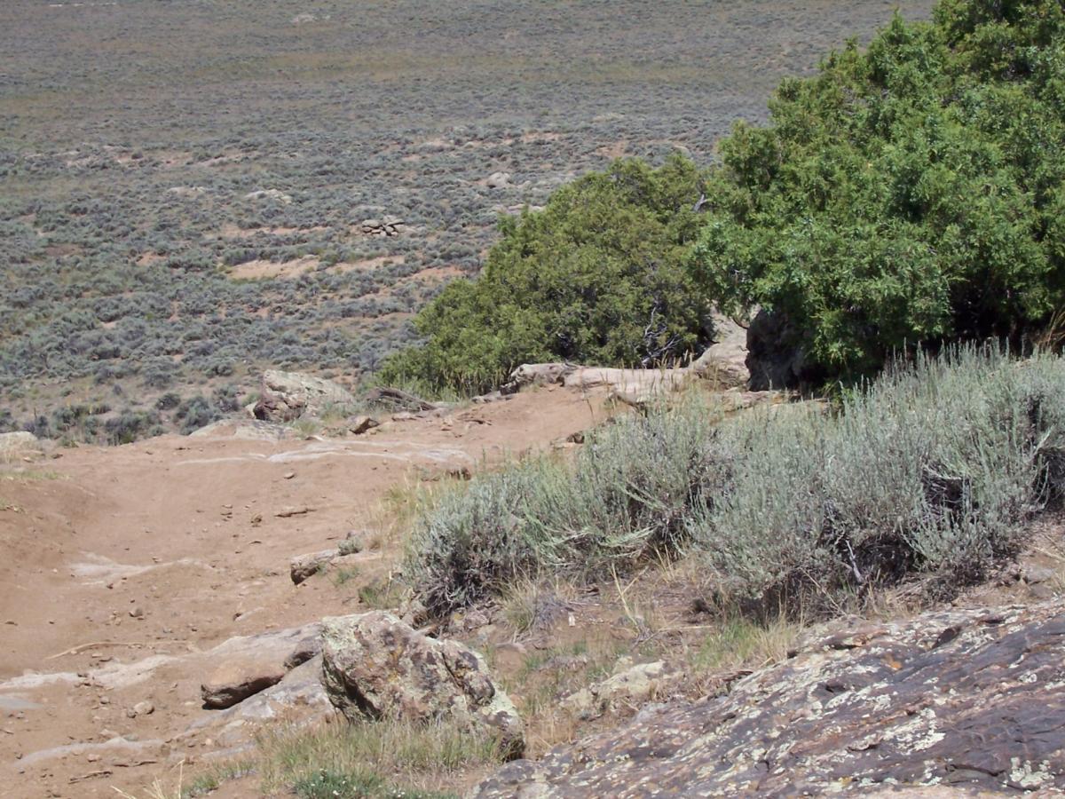 A dirt trail winding through a rocky landscape, bordered by green shrubs and sagebrush, with distant hills visible in the background under a clear sky. Hartman Rocks mountain bike trail.