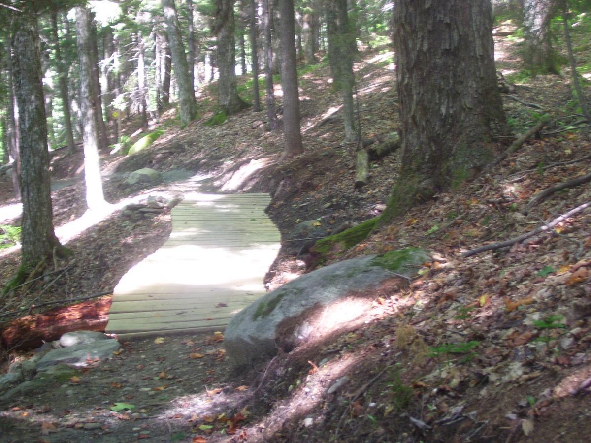 A winding wooden path through a forested area, surrounded by tall trees and scattered rocks. Sunlight filters through the foliage, creating dappled light on the ground covered with fallen leaves. Luce Trail mountain bike trail.