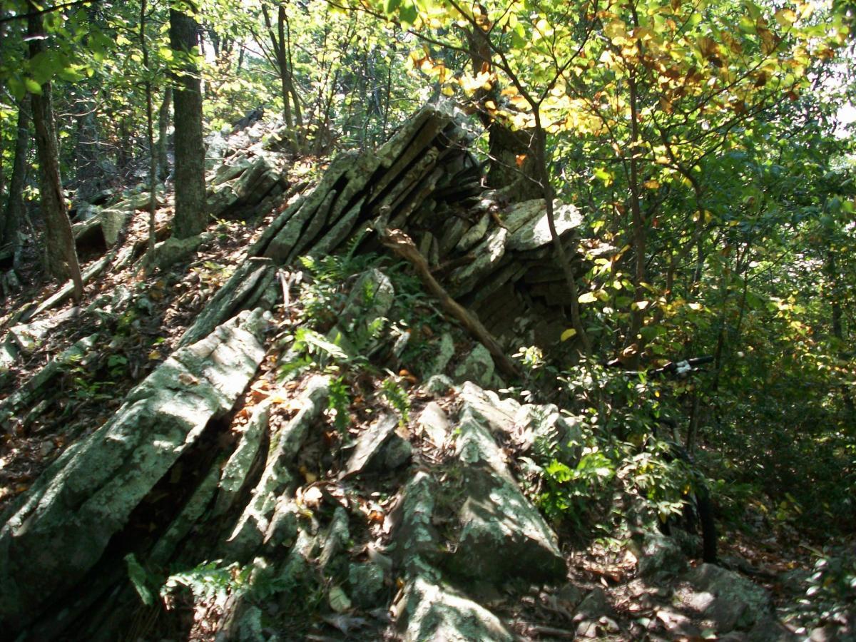 A rocky hillside covered with uneven, weathered stones and surrounded by lush green trees and foliage, capturing the essence of a natural forest environment. Dragon's Back mountain bike trail.
