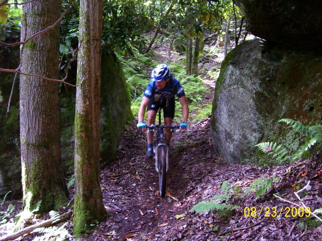 A mountain cyclist rides on a narrow, forested trail surrounded by tall trees and large boulders, with ferns and lush greenery lining the path. The cyclist is wearing a blue helmet and jersey, focused on navigating the terrain. Big Bear Lake Trail Center mountain bike trail.